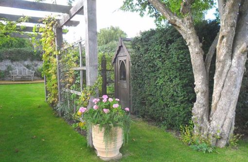 Professional planting new plants in the garden